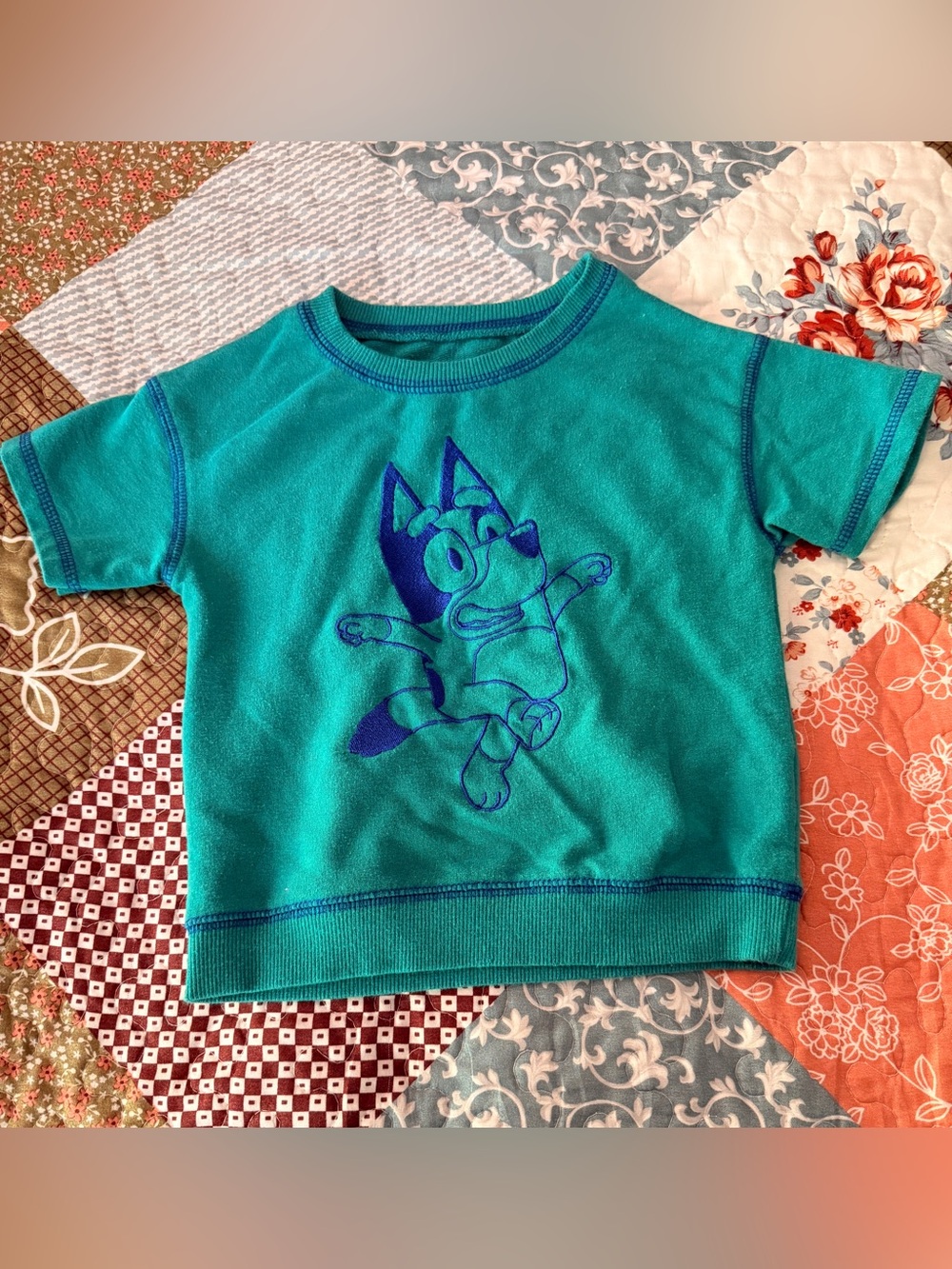 Bluey Toddler Crewneck Sweatshirt Size 3T Teal Pullover